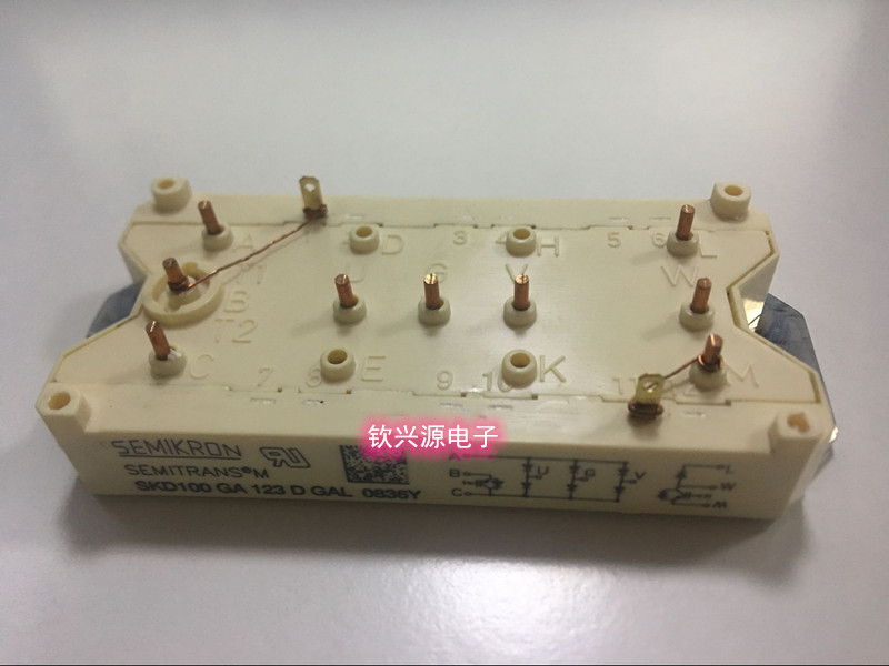 SKD75GAL123D SKM75GDL124D SKD100GAL123D2/124D7 西门康 现货 - 实物图