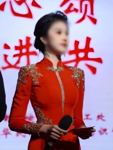 高端主持人晚礼服小众气质新款红色艺考独唱演出服宴会连衣裙长袖