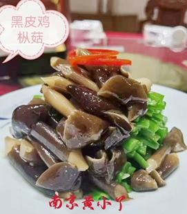 黑皮鸡枞菌罐装食用菌长根菇酒店特色湘菜半成品私房菜冷冻食材
