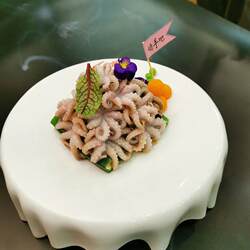 九秒章鱼迷你小八爪鱼白灼火锅海鲜刺身凉拌食材干锅墨鱼仔商用