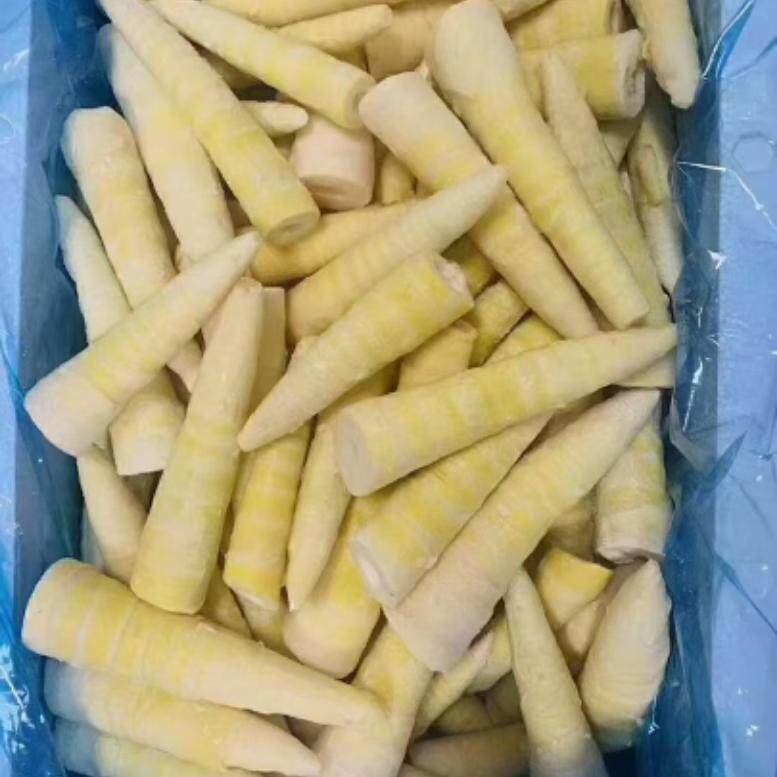 速冻雷笋新鲜冷冻散装嫩笋尖饭店餐饮商用食材