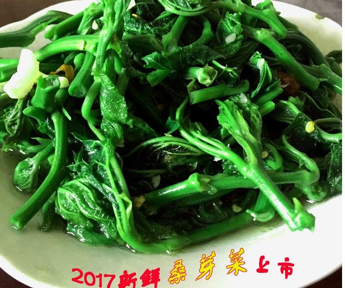 特色菜 凉菜 新鲜冷冻桑树芽 嫩头 桑芽 桑叶 炒菜做汤 方便菜