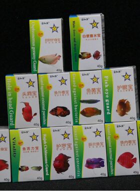 宝知渔头洞宝招财锦鲤龙