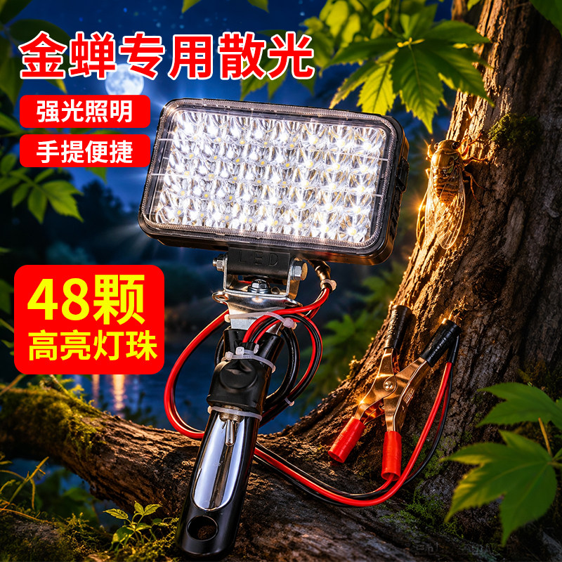 2026新款专用灯知了猴灯