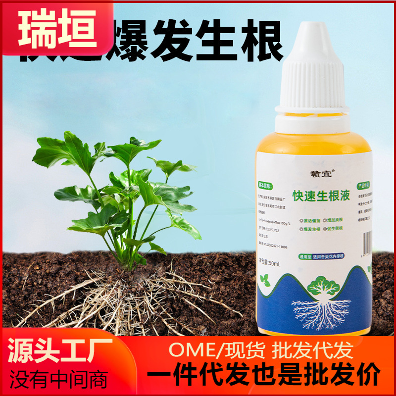 快速生根液移栽花苗插芊移植多肉花卉植物爆根生根营养液