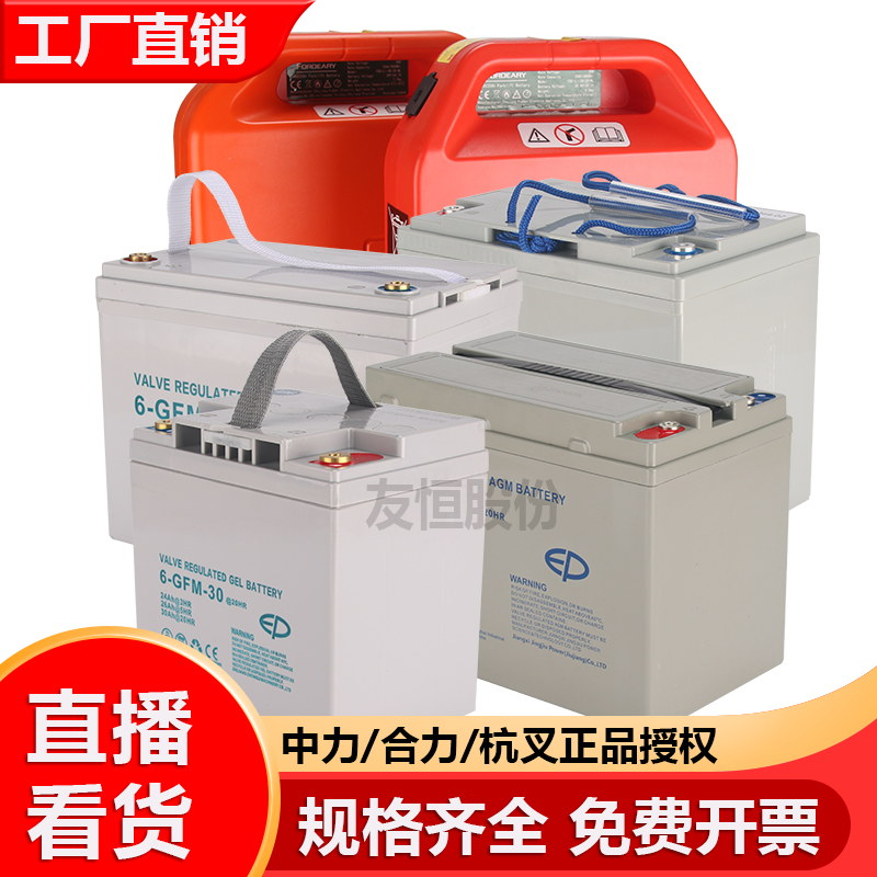 中力叉车蓄电池杭叉合力锂电池