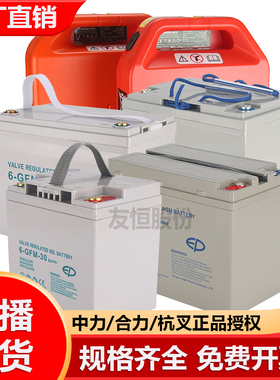 中力合力小金刚液压升降搬运车电动叉车蓄电池12V30A6585叉车电池