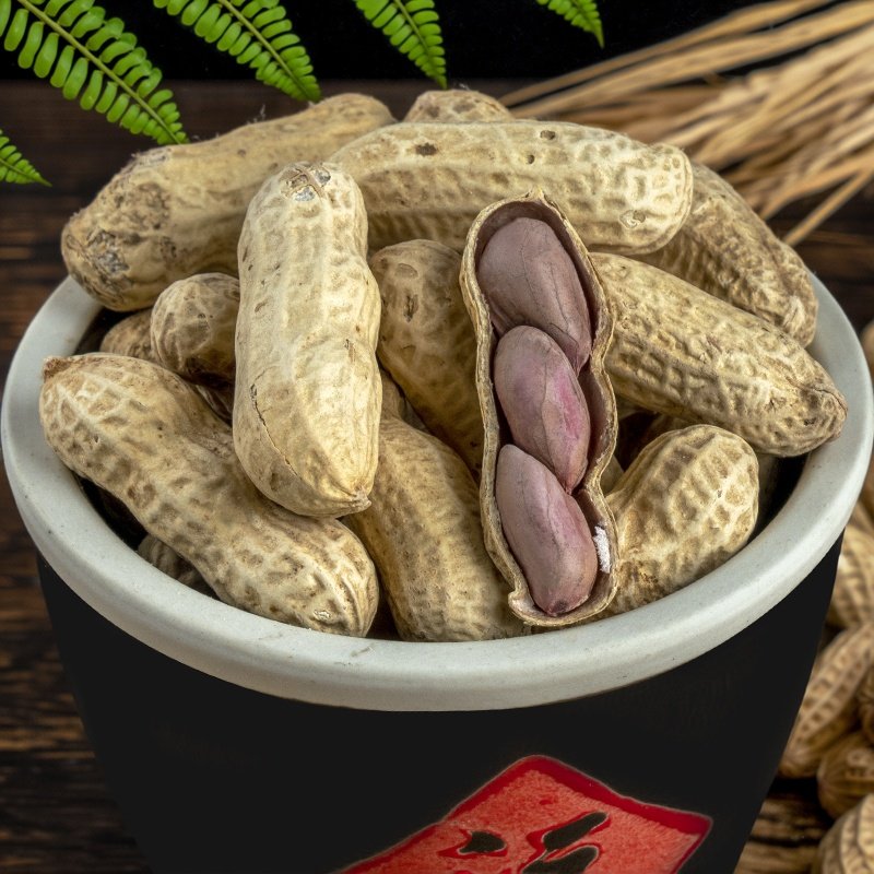 星派带壳蒜香龙岩花生农家新坚果炒货休闲年货零食下酒菜水煮湿烤