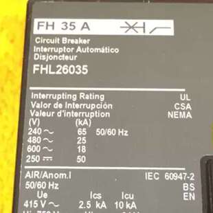 FHL26035 Nuevo Square D Fhl26035 35Amp 2Polos 600 Voltio Bre