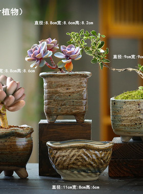 多肉植物花盆陶瓷素烧透气创意粗陶复古紫色砂大小口径简约特价盆