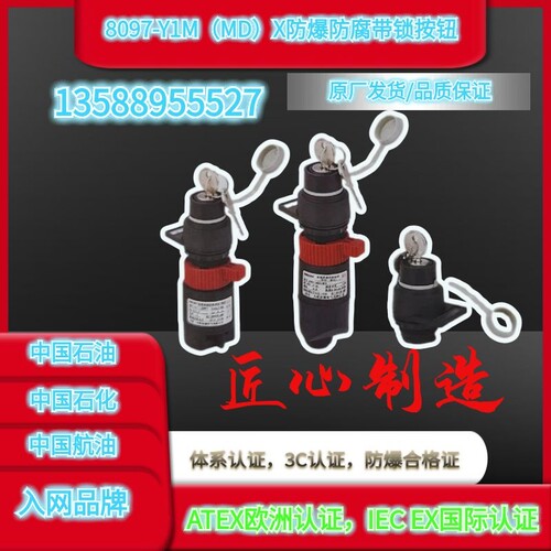 一线品牌配电箱防爆区域0101/8097Y1MD防爆防腐控制按钮板钥匙