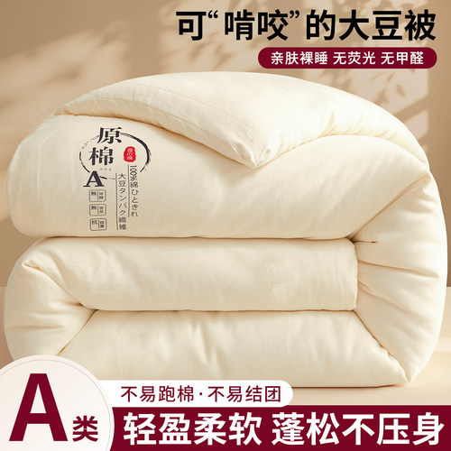大豆纤维A类蓄热保暖四季被芯