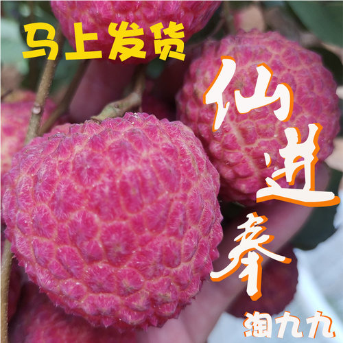 仙进奉荔枝2026珍稀高端组合送礼