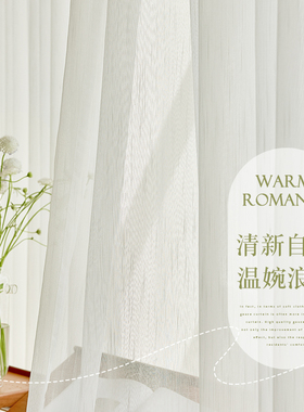热销窗帘纱帘透光不透人卧室2t0v22年新款飘窗客厅窗纱白色阳台纱