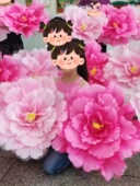 成长在祖国 怀抱里道具牡丹花表演手拿花幼儿童跳舞表演演出手花