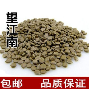 望江南 天然纯新货 中药材望江南子羊角豆山绿豆 伸筋豆 500g包邮