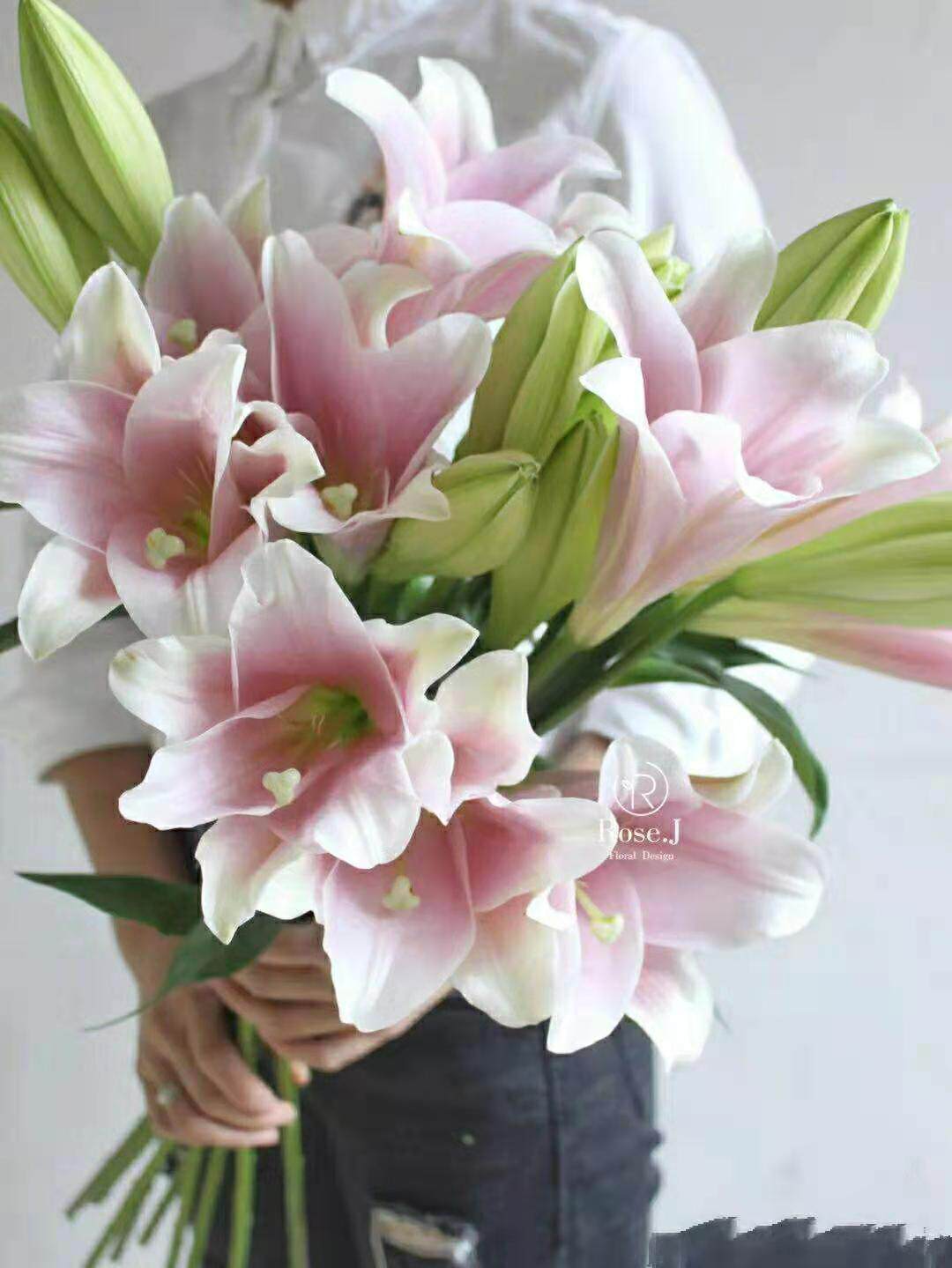 铁炮百合眼线百合无香型鲜切办公家庭母亲节插花云南昆明空运包邮