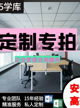 企业管理咨询专业定制 文件制度验厂审核整改记录文档表单PPTWord