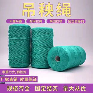 塑料绳大棚吊秧绳蔬菜辣椒黄瓜番茄西红柿吊蔓绳吊绳塑料绳子农用