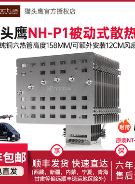 猫头鹰NH-P1被动式散热器高端CPU无风扇散热可添A12x25静音散热器