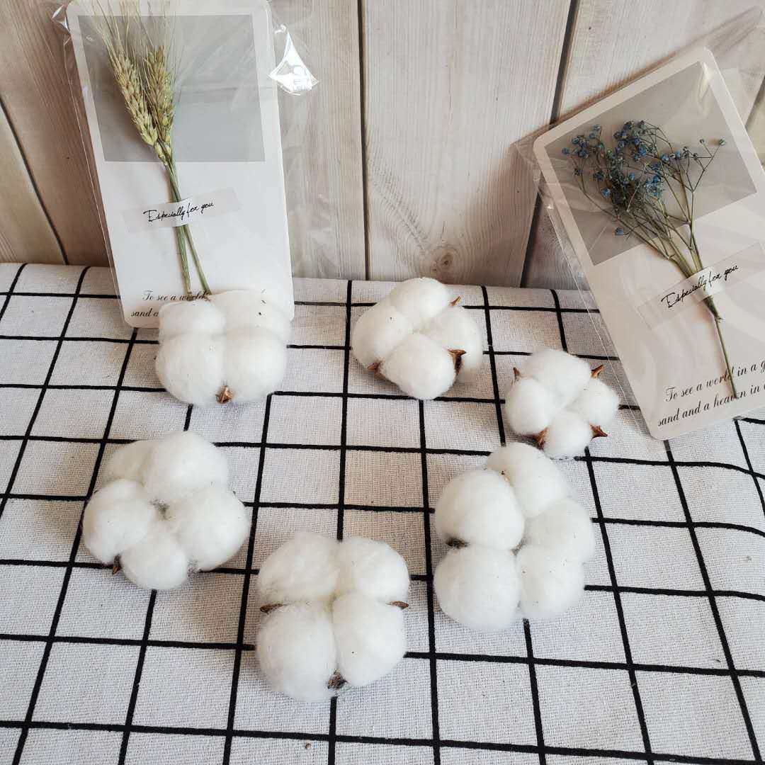 diy永生花棉花干花包 网红ins森林系家居装饰 拍摄道具美食摄影,家居饰品,干花/花瓣/干花包/干树枝,淘宝优惠券,粉丝福利购,淘宝优惠卷