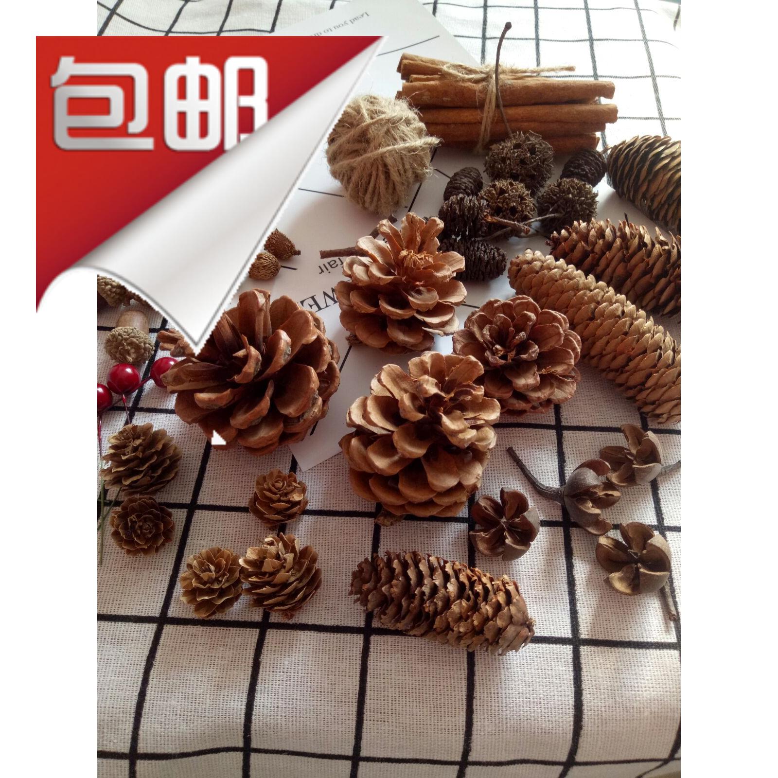 多种果壳250克装松球松果装饰干花拍摄道具背景手工创意diy森系