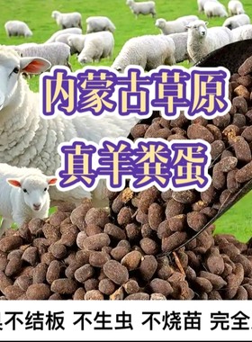内蒙古原生态干羊粪蛋  优质有机肥@新疆，四川不发货。