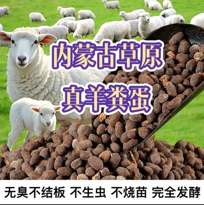 内蒙古原生态羊粪蛋优质有机肥
