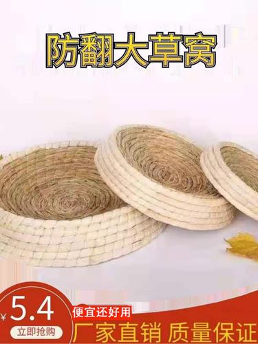 鸽子窝草窝油草孵蛋繁殖草编