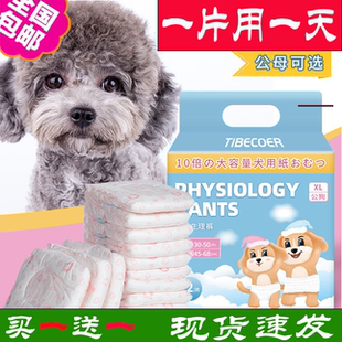 狗狗纸尿裤宠物生理裤母狗泰迪尿不湿公狗小型犬加厚防乱尿猫咪用