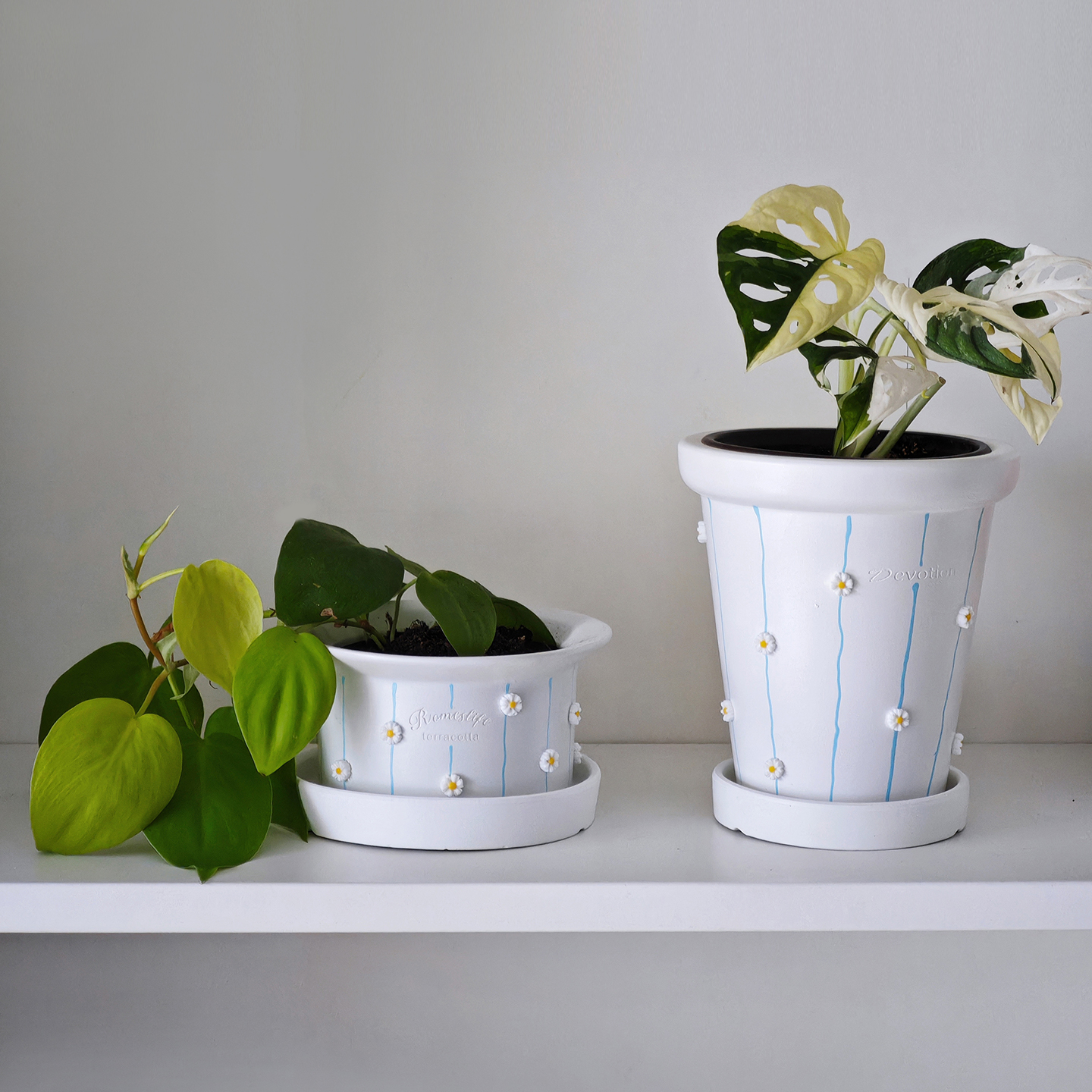 手绘小雏菊陶瓷花盆创意多肉绿植