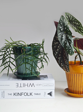 陶瓷高级感透气兰花盆蝴蝶兰彩叶芋绿植简约个性套盆带孔法式花盆