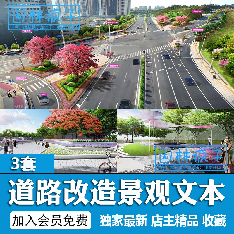 WB062道路景观文本市政城市道路园林人行路十字公路规划设计方案