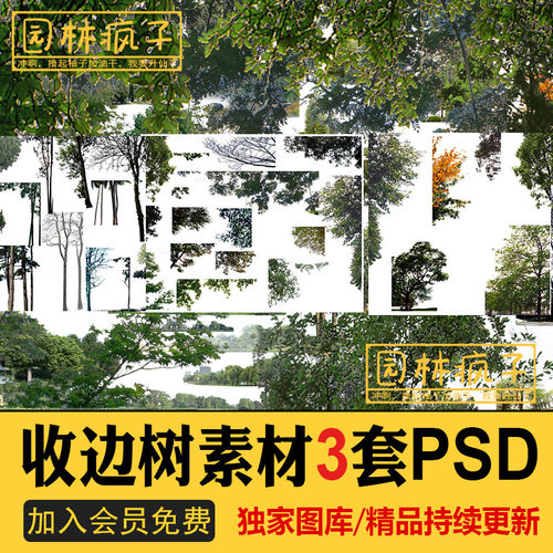 PS024主景树框景树前景树收边树乔木植物树枝角PSD分层素材