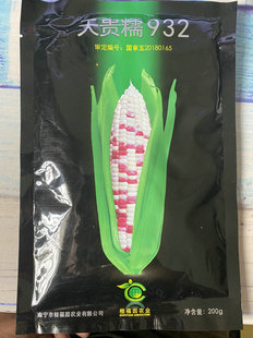 天贵糯932彩甜糯鲜食玉米种子甜香彩色国审品种高产大田糯玉米籽