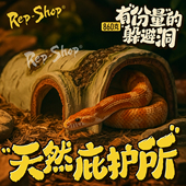 爬宠躲避屋蛇守宫蜥蜴蜘蛛躲避洞爬虫饲养箱造景小号洞穴攀爬晒台