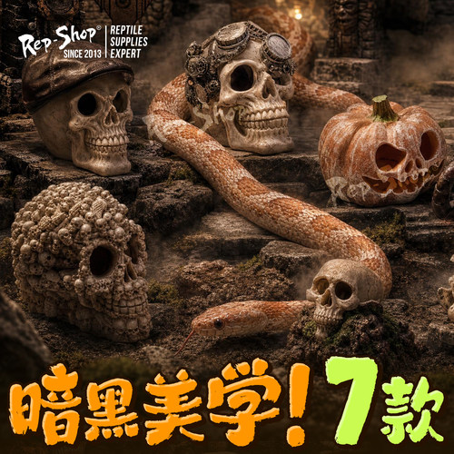 爬宠骷髅头躲避攀爬造景摆件