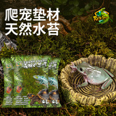 爬宠垫材保湿 水苔苔藓乌龟冬眠爬虫守宫蜘蛛角蛙寄居蟹造景青苔