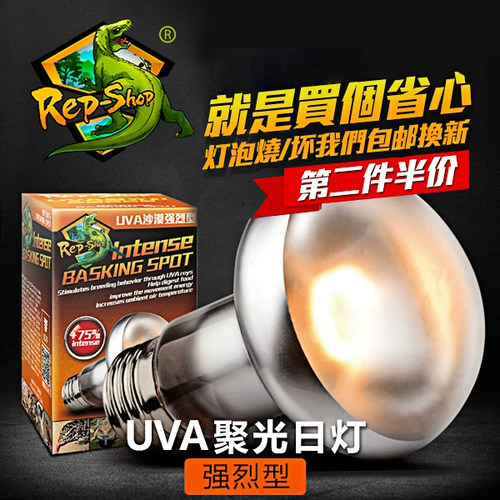 RS高品质沙漠型爬宠UVA日灯加热灯鬃狮蜥蜴爬虫龟箱强烈聚光晒背