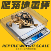 爬宠健康体重秤陆龟守宫鬃狮蜥蜴角蛙电子秤爬虫钙粉准确称重0.1g