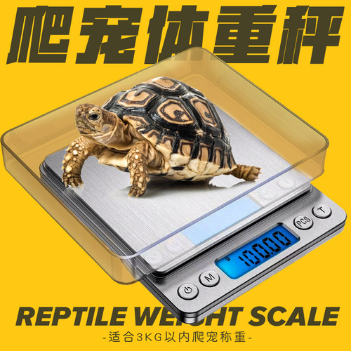 爬宠健康体重秤陆龟守宫鬃狮蜥蜴角蛙电子秤爬虫钙粉准确称重0.1g
