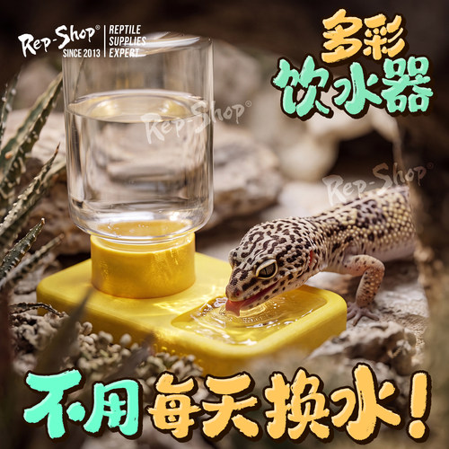 爬宠自动饮水器豹纹守宫睫角水盆蜥蜴蛇喂水器小型爬虫喂水器造景