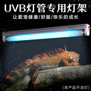 爬虫箱UVB灯管灯架T8灯管专用爬宠蜥蜴绿鬣守宫紫外线灯管架45cm