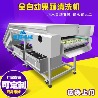 厂机家生辣椒清洗泡 青椒气喷淋清产洗设备 洗干QXS辣椒机器