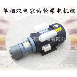 置2LWBZ.KW LWBZ 125齿轮油泵2电机组装 100 立3卧式