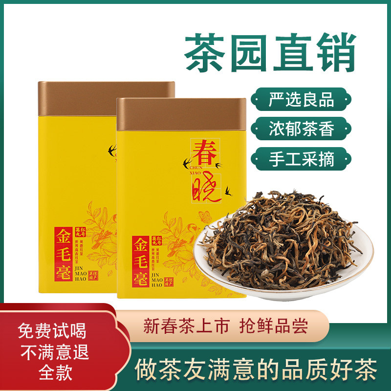 英红九号金毛毫250g罐装礼品茶叶