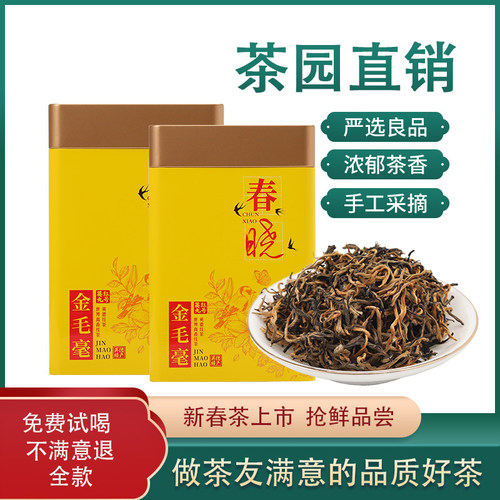 英红九号金毛毫250g罐装礼品茶叶