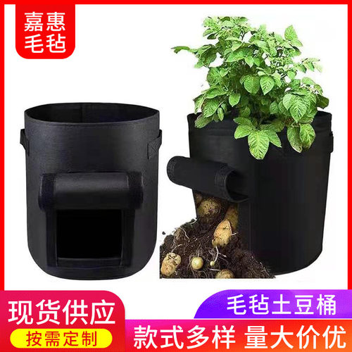 毛毡土豆种植桶543626