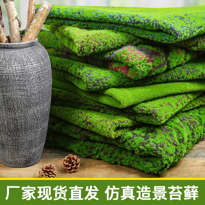 植物墙草坪仿真苔藓绿色假苔藓青苔微景观盆景造景装饰材料草坪
