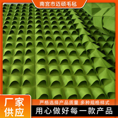跨境毛毡挂墙种植袋10
